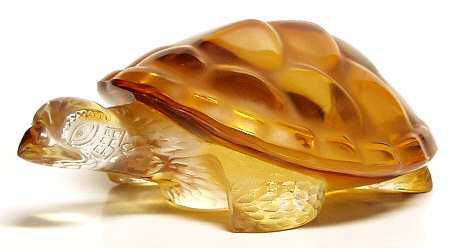 Animals - Other Caroline Turtle - Amber - Boxed