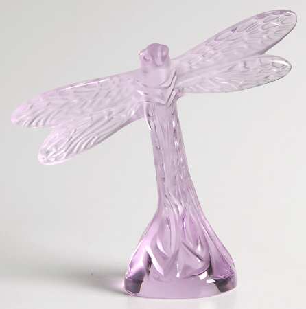 Insects & Butterflies Dragonfly - Pink - Boxed