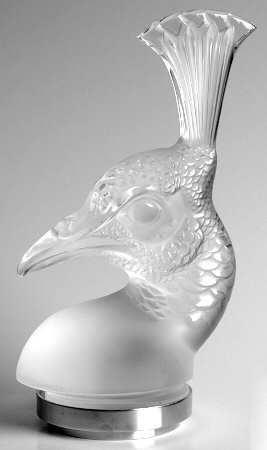 Birds Peacock Head - Clear - Boxed