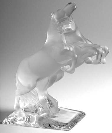 Animals-Domestic Wild Horses - Boxed