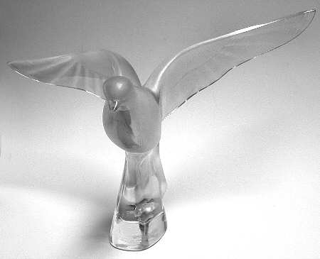 Birds Colombe Clita-Large Dove - No Box