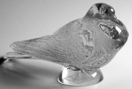 Birds Pigeon - No Box