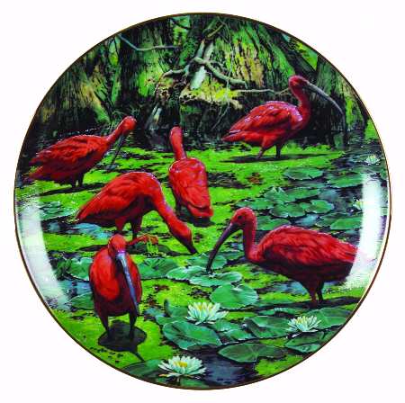 Exotic Birds of Tropique Scarlet Ibis - No Box