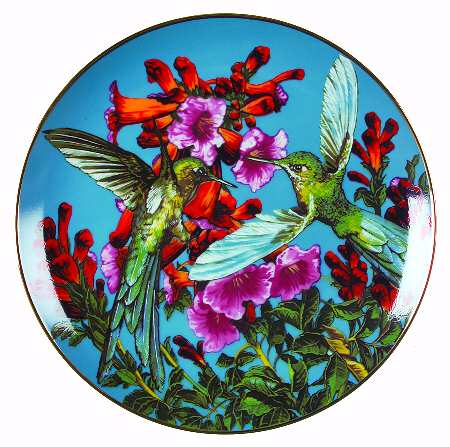 Exotic Birds of Tropique Long-Tailed Sylph - No Box