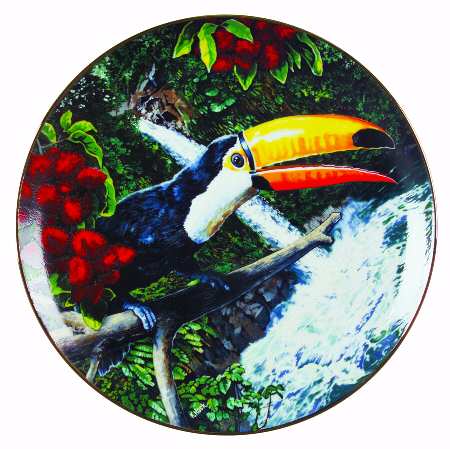 Exotic Birds of Tropique Toco Toucan - Boxed