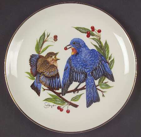 Four Seasons The Fledgling-Summer Blubirds - Boxed