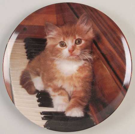 Picture Purrfect by Crestley