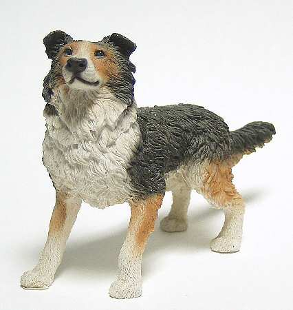 Dog Collection Border Collie - Boxed