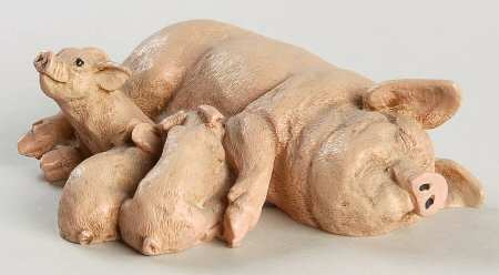 Animal Collection Sow Piglet - Boxed