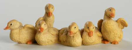 Animal Collection Ducklings - Boxed