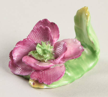 Coalport Florals Rhododendron Placecard - No Box 42