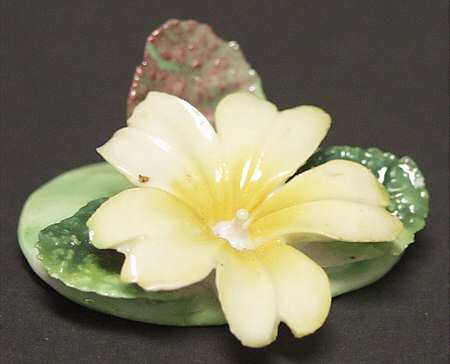 Crown Staffordshire Florals Place Card Holder-Yellow Hibiscus - Boxed