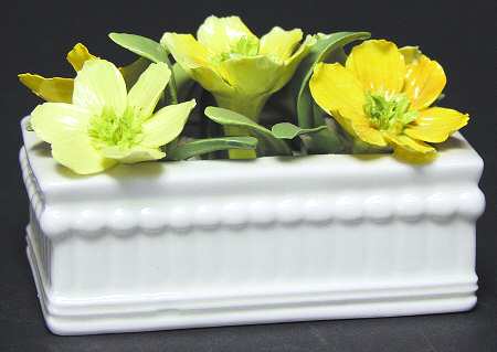 Crown Staffordshire Florals Yellow Flowers - Boxed