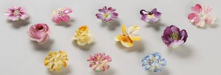 Crown Staffordshire Florals Single Floral Accessories - Boxed