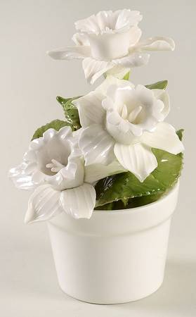 Crown Staffordshire Florals Radnor-White Tulips - No Box