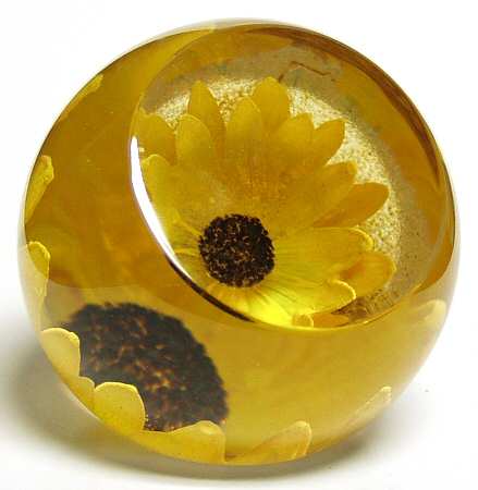 Caithness Museum Collection Sunflower Paperweight - Boxed