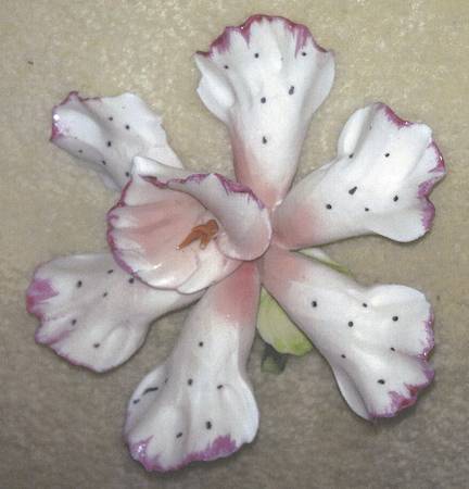 Capodimonte Giftware White Flower With Dots - No Box