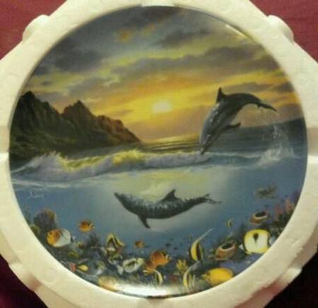 Coral Kingdoms by Crestley
