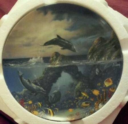 Coral Kingdoms Afternoon Frolic - No Box