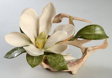 Floral Studies Magnolia - No Box