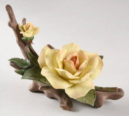 Floral Studies American Rose - No Box