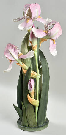 Floral Studies Irises - No Box