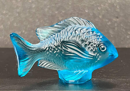 Damsel Fish Damsel Fish - Turquoise - Boxed