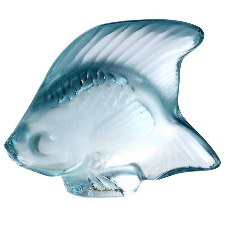 Aquarium Fish Fish - Persepolis Blue - Boxed