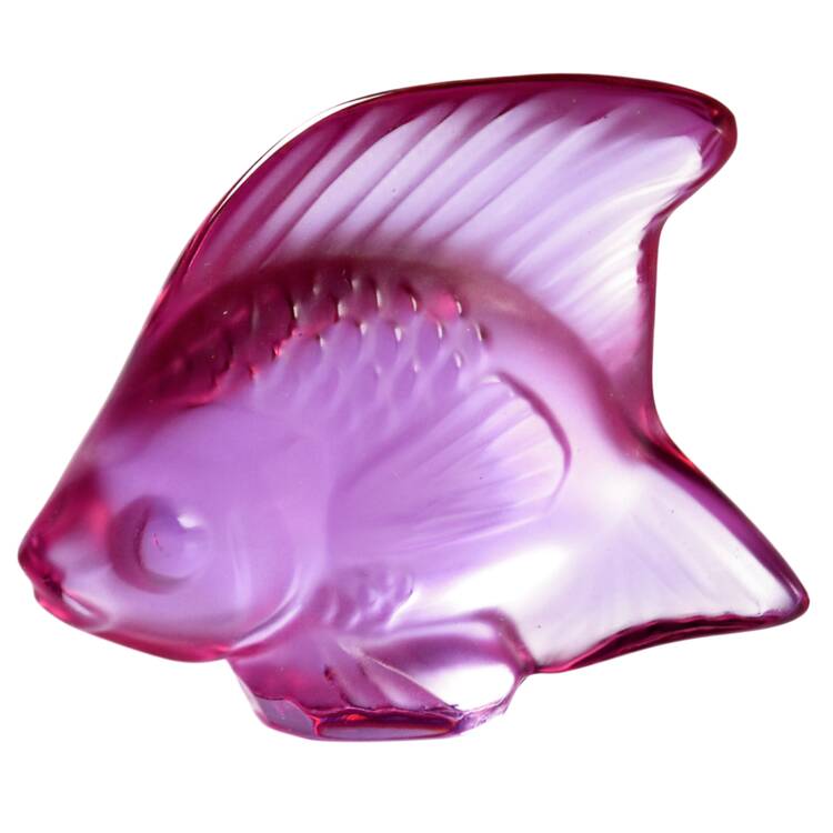 Aquarium Fish Fish - Fuchsia - Boxed