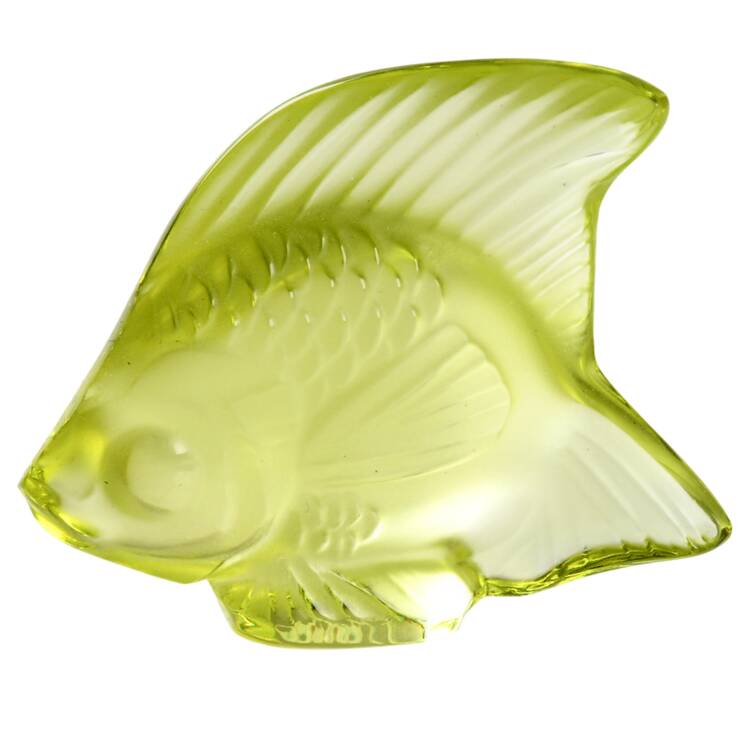 Aquarium Fish Fish - Anise Green - Boxed