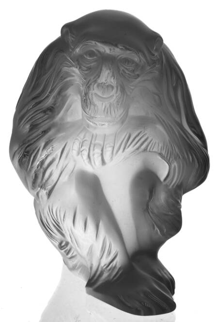 Animals Wild Chita Chimpanzee - Clear - No Box