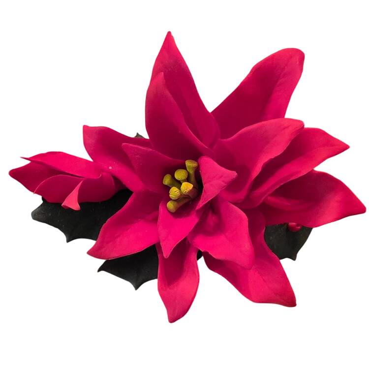 Fabar Poinsettia - Boxed