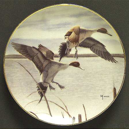 Ducks Taking Flight Migrants - No Box