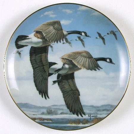 Ducks Taking Flight Last Of The Season - No Box
