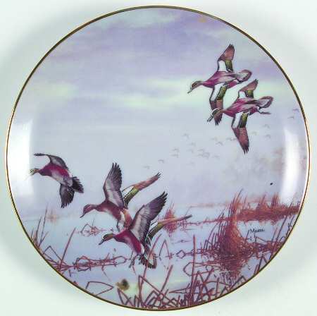 Ducks Taking Flight In To Feed - No Box