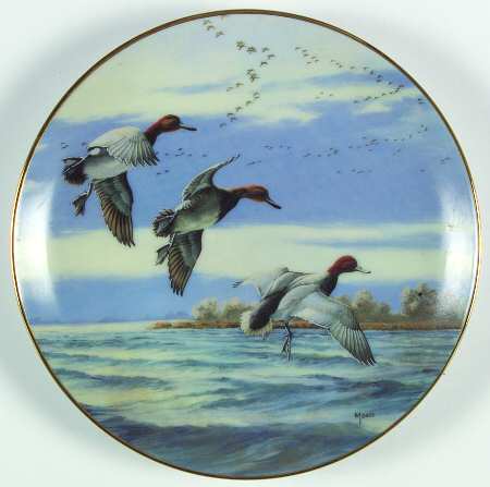 Ducks Taking Flight Ripples Landing - No Box