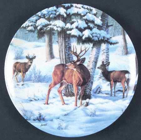 Portraits of the Wild by Dominion