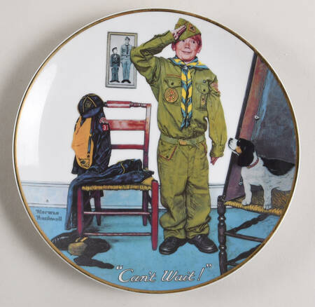 Boy Scout Annual by Dave Grossman