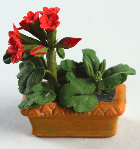 Seasons Bay Geranium Window Box - Boxed