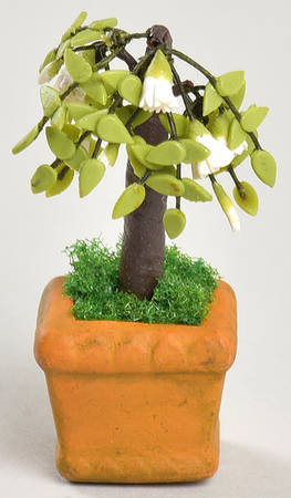 Seasons Bay Flowering Potted Tree-White - Boxed