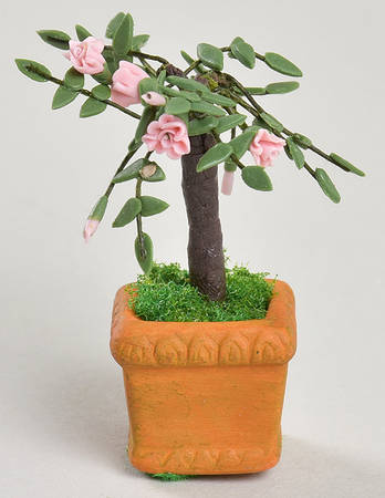 Seasons Bay Flowering Potted Tree-Pink - Boxed