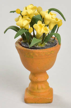 Seasons Bay Potted Flowers - Boxed