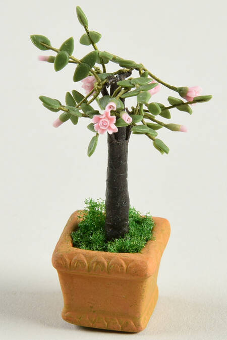 Seasons Bay Flowering Potted Tree - Boxed