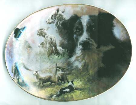 Border Champion A Loyal Friend - With Box