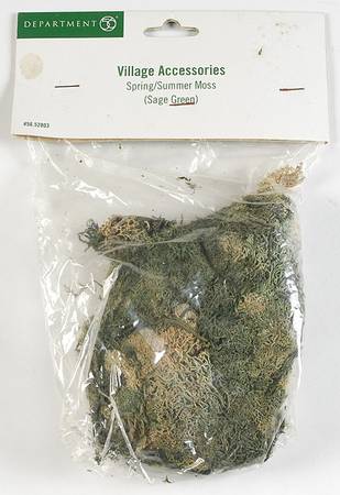 General Village Accessories Spring/Summer Moss Sage Green - With Box Bx355c