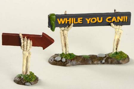Snow Village Halloween Boneyard Spooky Signs S/2 - Boxed
