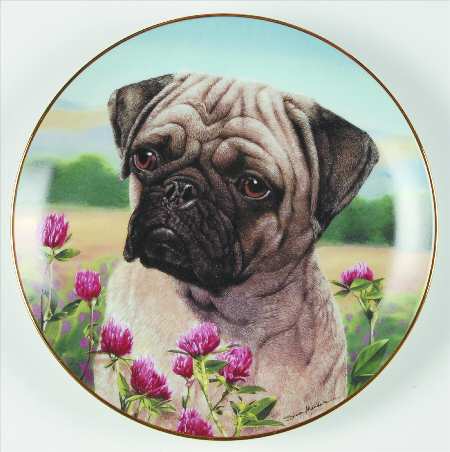Pugs Prairie Pug - No Box