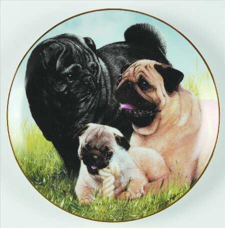 Pugs Proud Pugs - No Box