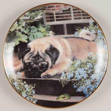 Pugs A Pug's Life - No Box