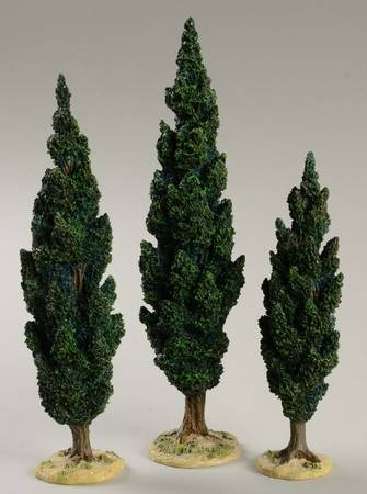 The Holy Land Cypress Trees - Boxed